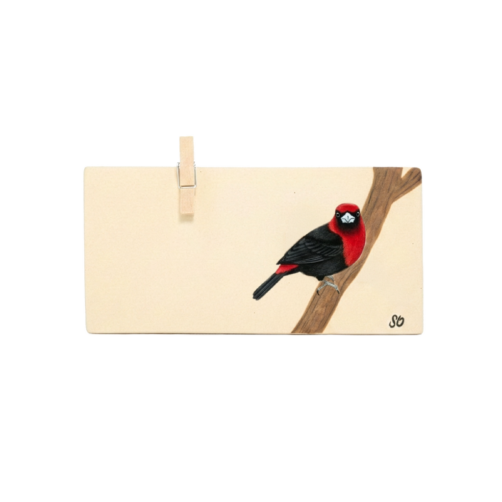 Altar Mediano Tángara - Preorden