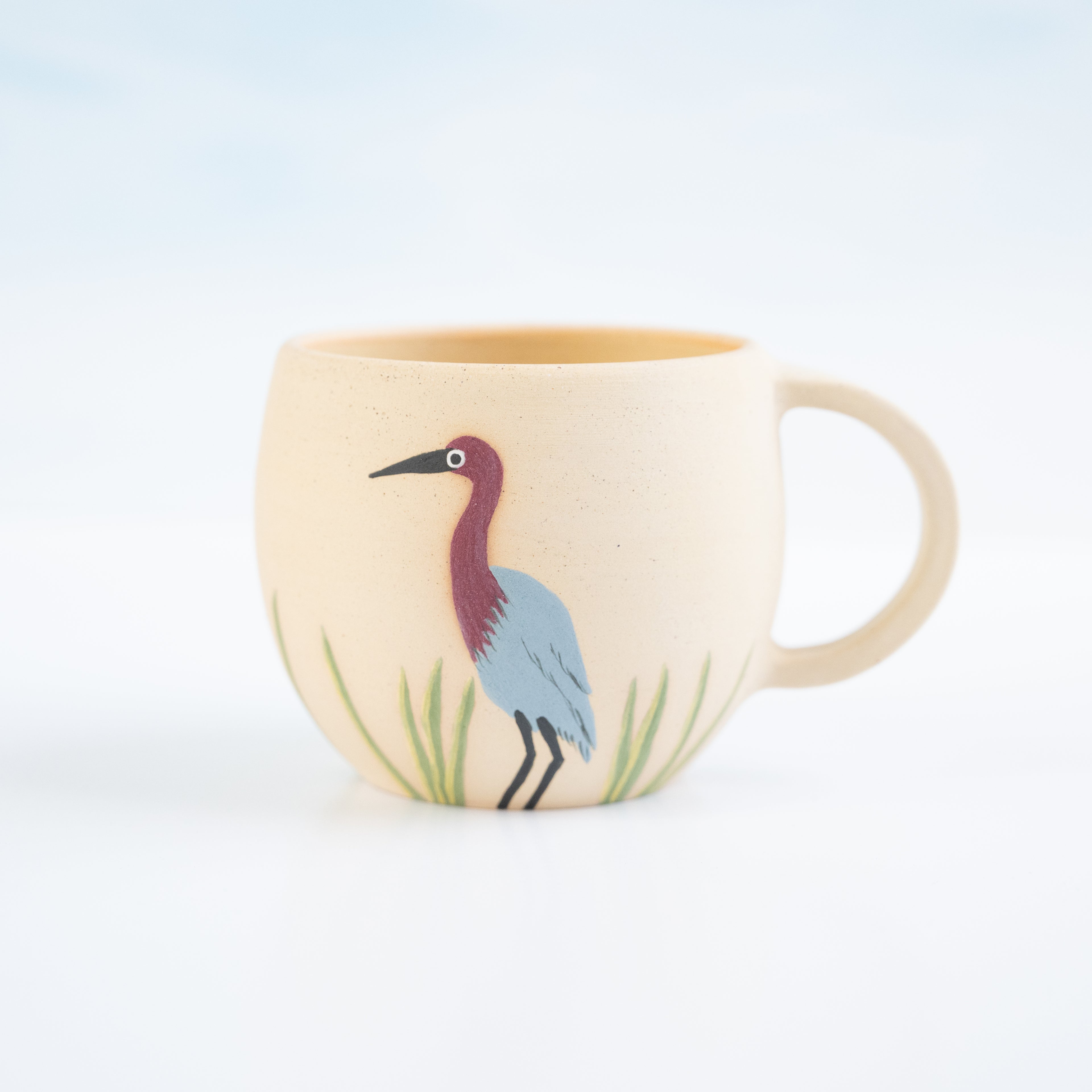 Taza Garza