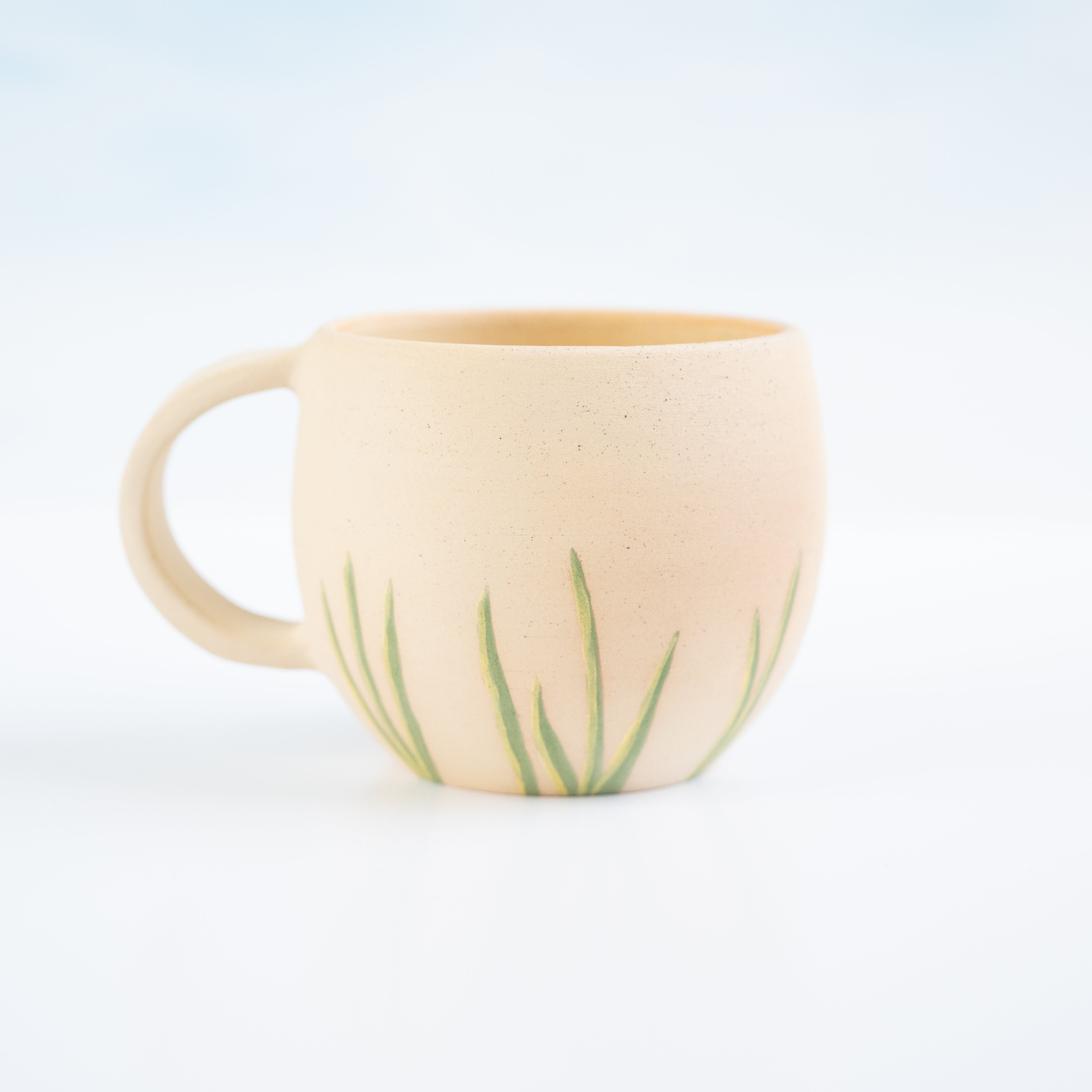 Taza Garza