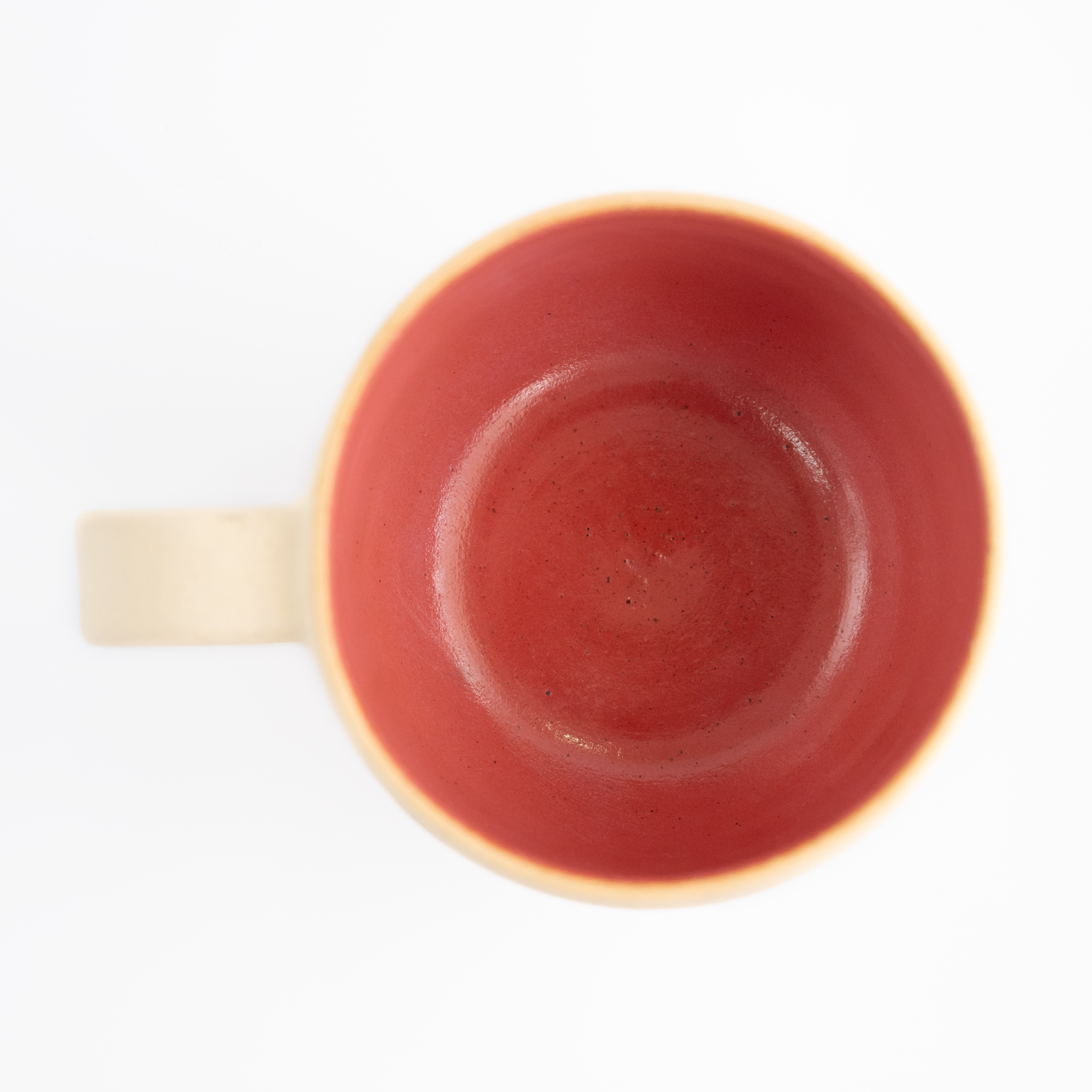 Taza Colibrí