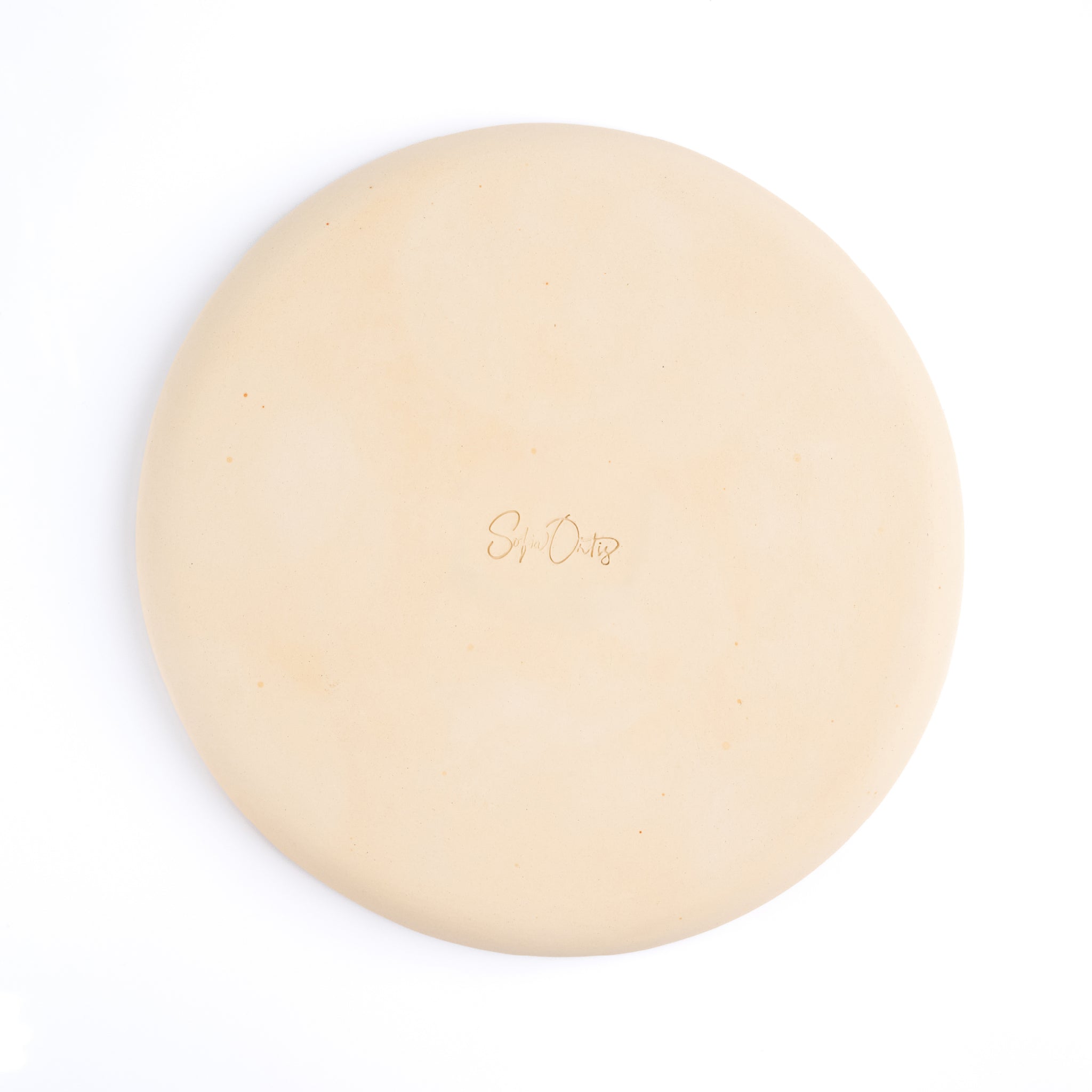 Plato Grande Familia Polar