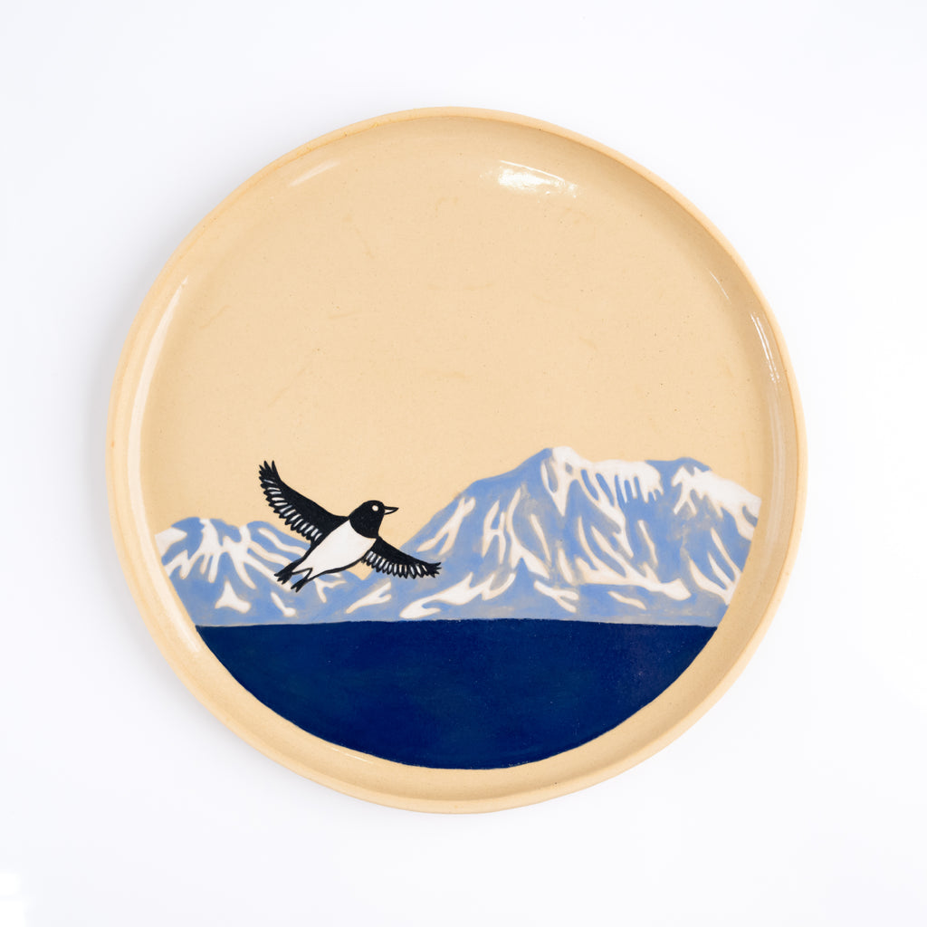 Plato Grande Little Auk