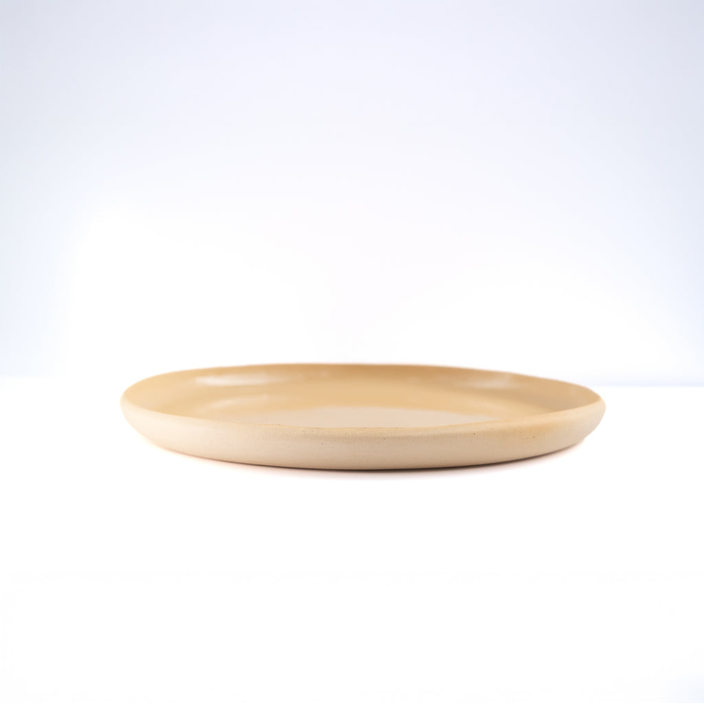 Plato Grande Little Auk