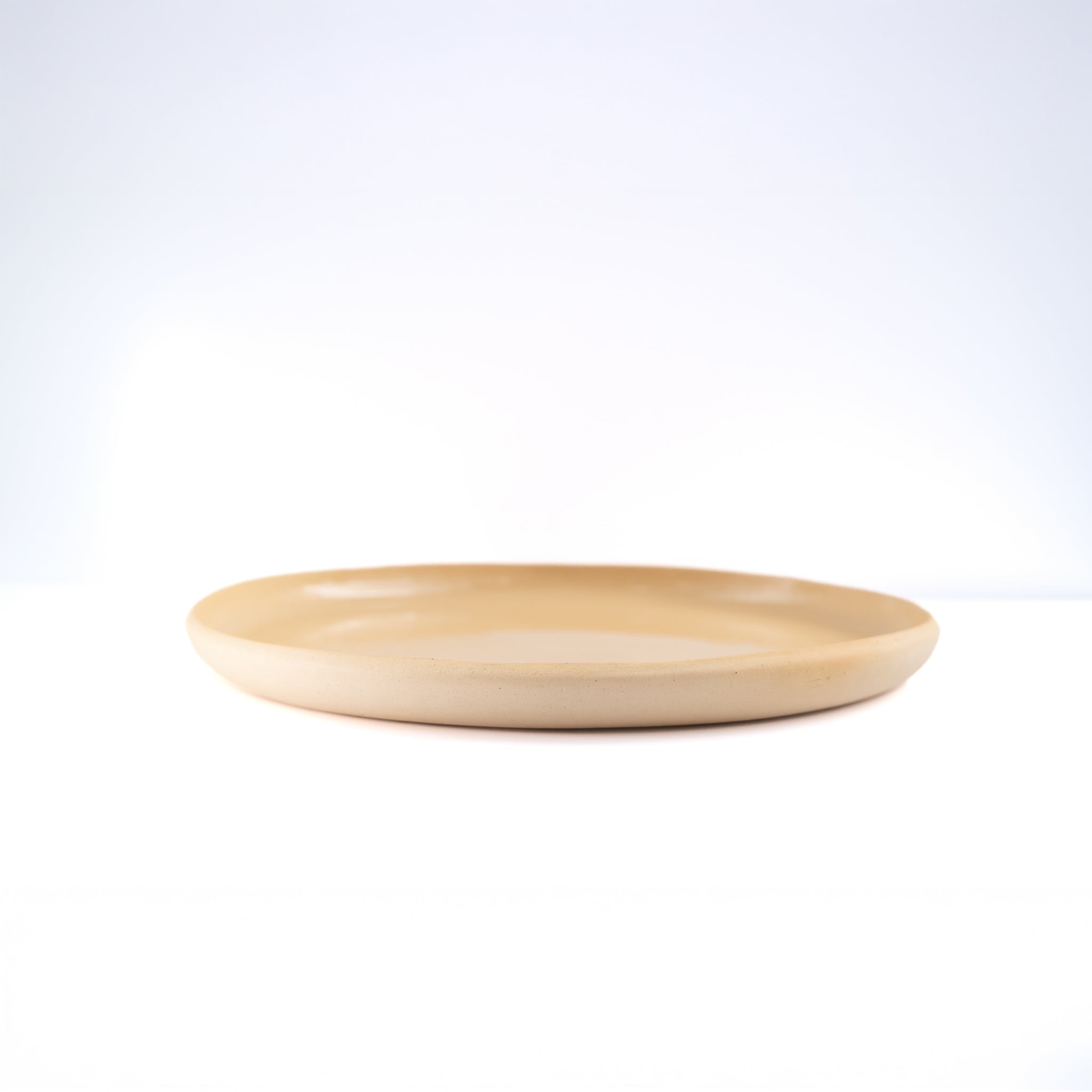 Plato Grande Little Auk