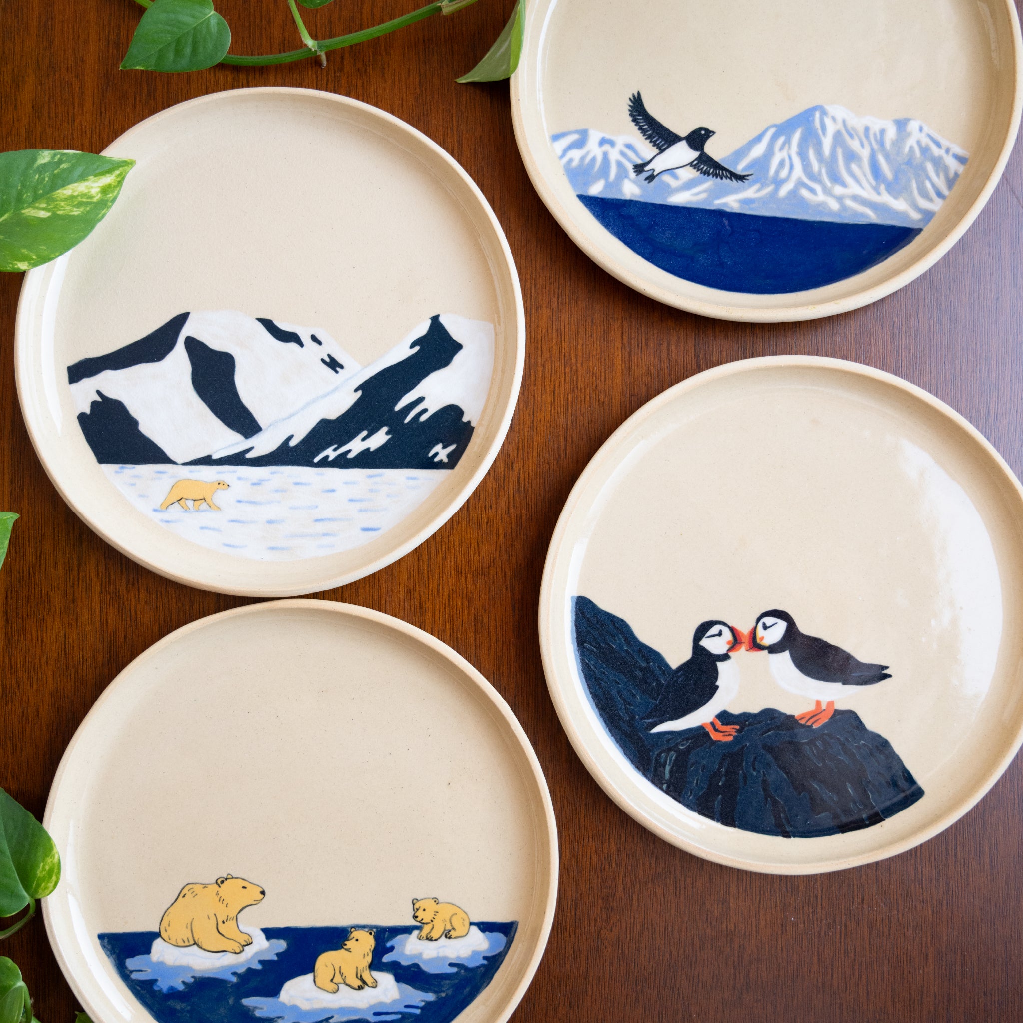 Plato Pequeño Familia Polar