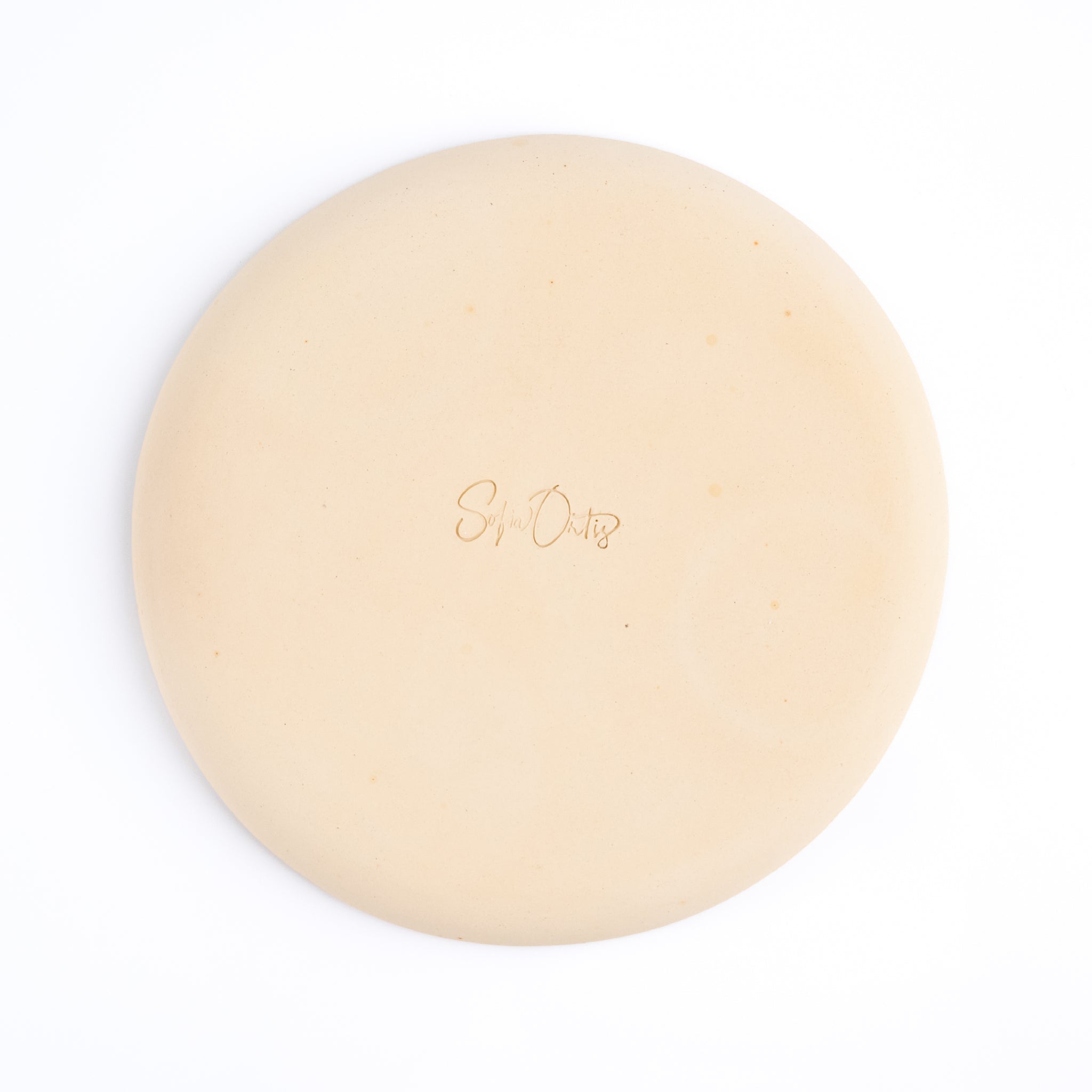 Plato Pequeño Little Auk