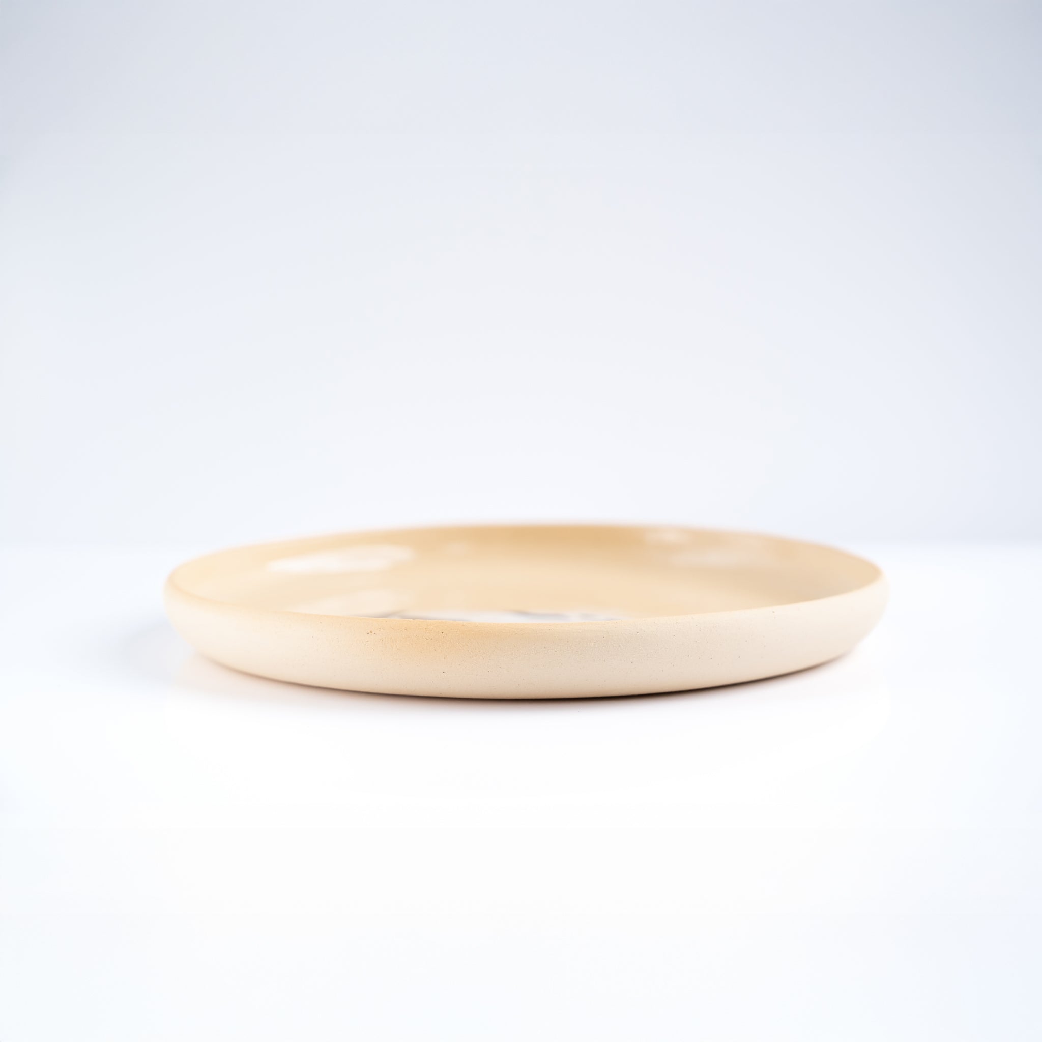 Plato Pequeño Little Auk