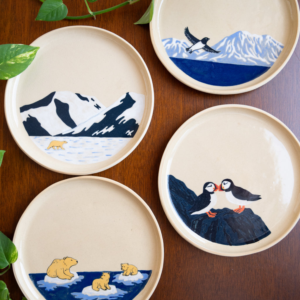 Plato Pequeño Little Auk